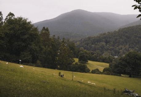 buying land in different types of terrain