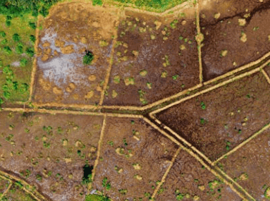 find legal description of land in Captiva Florida