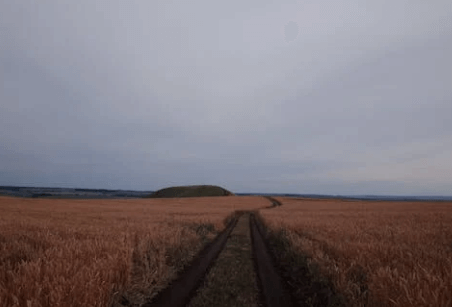 what is improved land