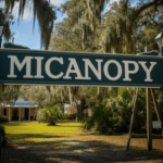 Sell My Land Micanopy Florida
