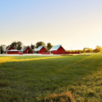 selling land with existing structures in White Springs