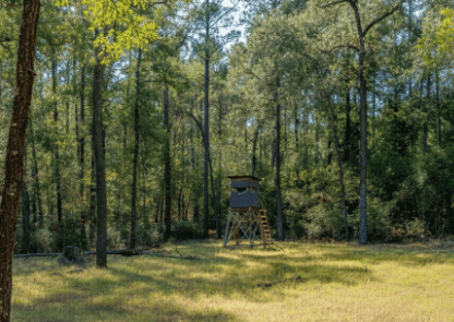 buying land for hunting in florida