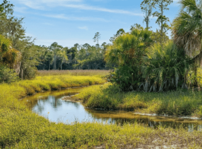 buying land with a creek in florida