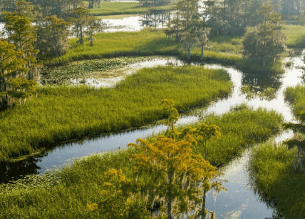 buying swampland in florida