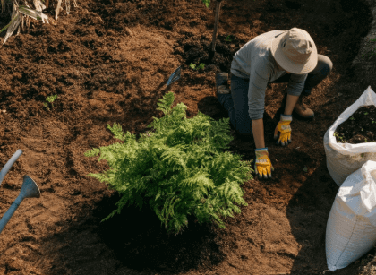 environmental considerations when selling land