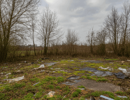find abandoned land for sale in Cantonment Florida