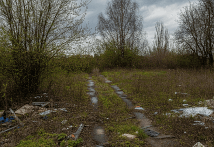 find abandoned land for sale in White Springs Florida