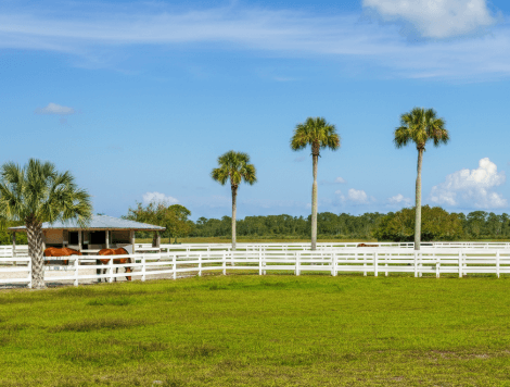 what is undeveloped land in Cedar Key Florida