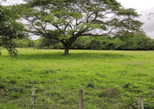 how-big-is-2-acres