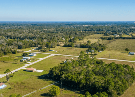 undeveloped land in Lamont Florida
