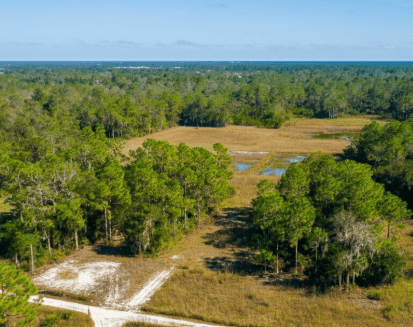 undeveloped land in Old Town Florida
