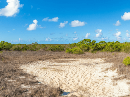 how to find abandoned land for sale in Palmdale Florida