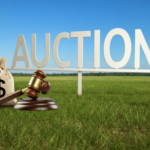 how land auctions work Dade City Florida