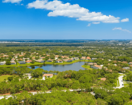 undeveloped land in Lutz Florida