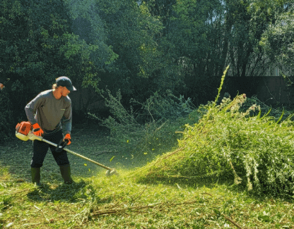increase the value of vacant land groveland florida