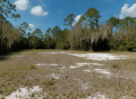 undeveloped land in alva florida