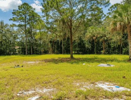 find abandoned land for sale in tallahassee florida