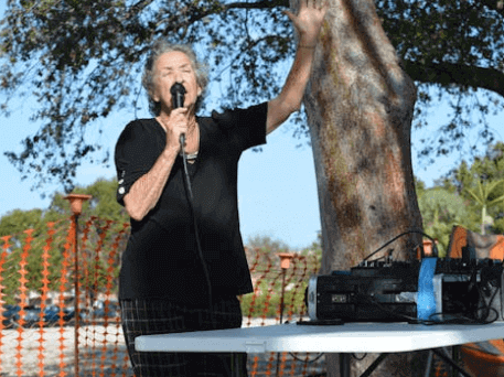 how land auctions work in greenville florida