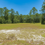 undeveloped land in fort mccoy florida