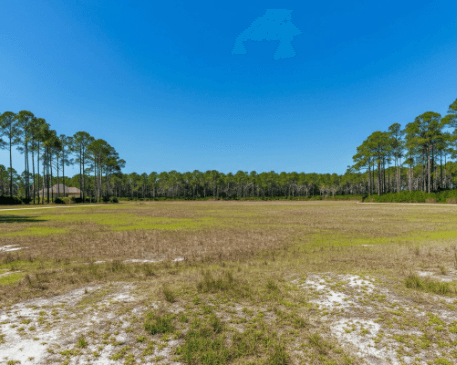 what is undeveloped land in fort mccoy florida