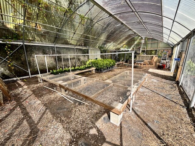 buying land in florida with a green house