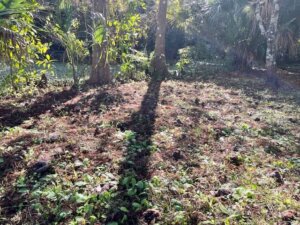 charlotte county Fl land seller
