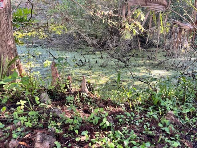 What I Would Do If I Were Selling Land in Florida in 2026