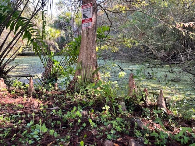 selling land with protected wildlife