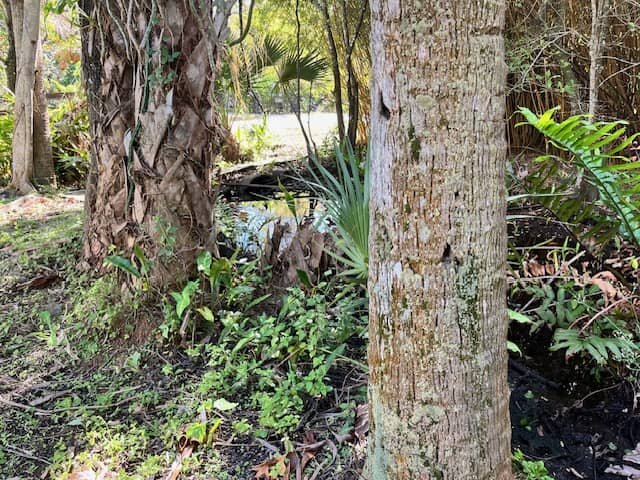 fl land wetlands