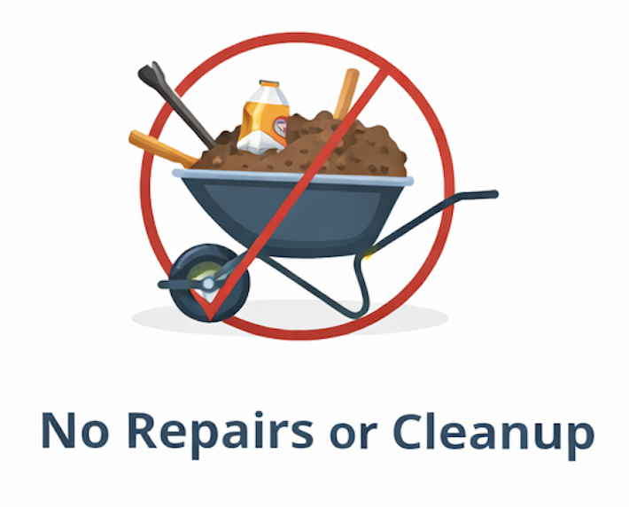 no clean up florida land