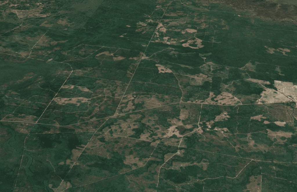 we buy land dixie county florida