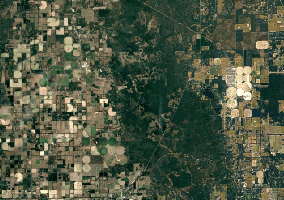 we buy land gilchrist county fl