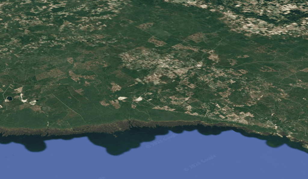 sell land in taylor county florida