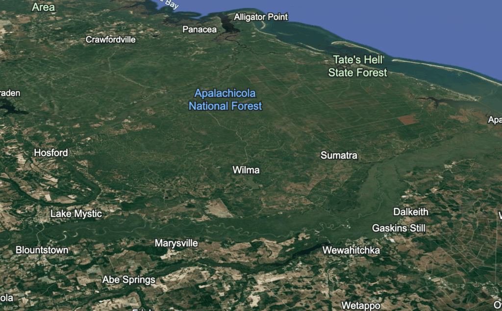 sell land fast liberty County Florida