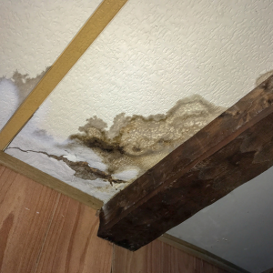 Guide to Selling a House With Water Damage Kenosha