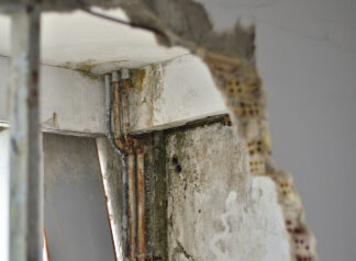 laws and selling with mold in Richmond