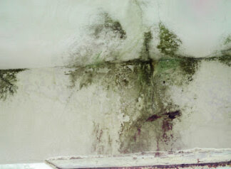 selling house with mold damage in Richmond