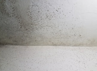 mold in the house in Richmond