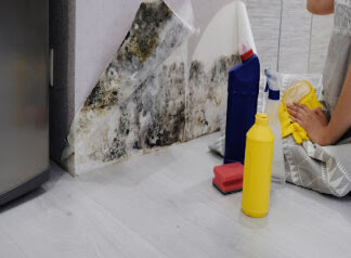 sell mold in home safely in Richmond