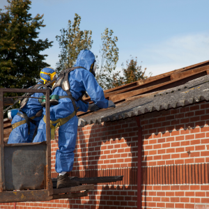 Sell Your Home With Asbestos In Virginia