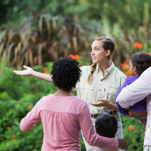 Interesting Facts Fairfax