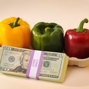 Cost of everyday life in Fairfax