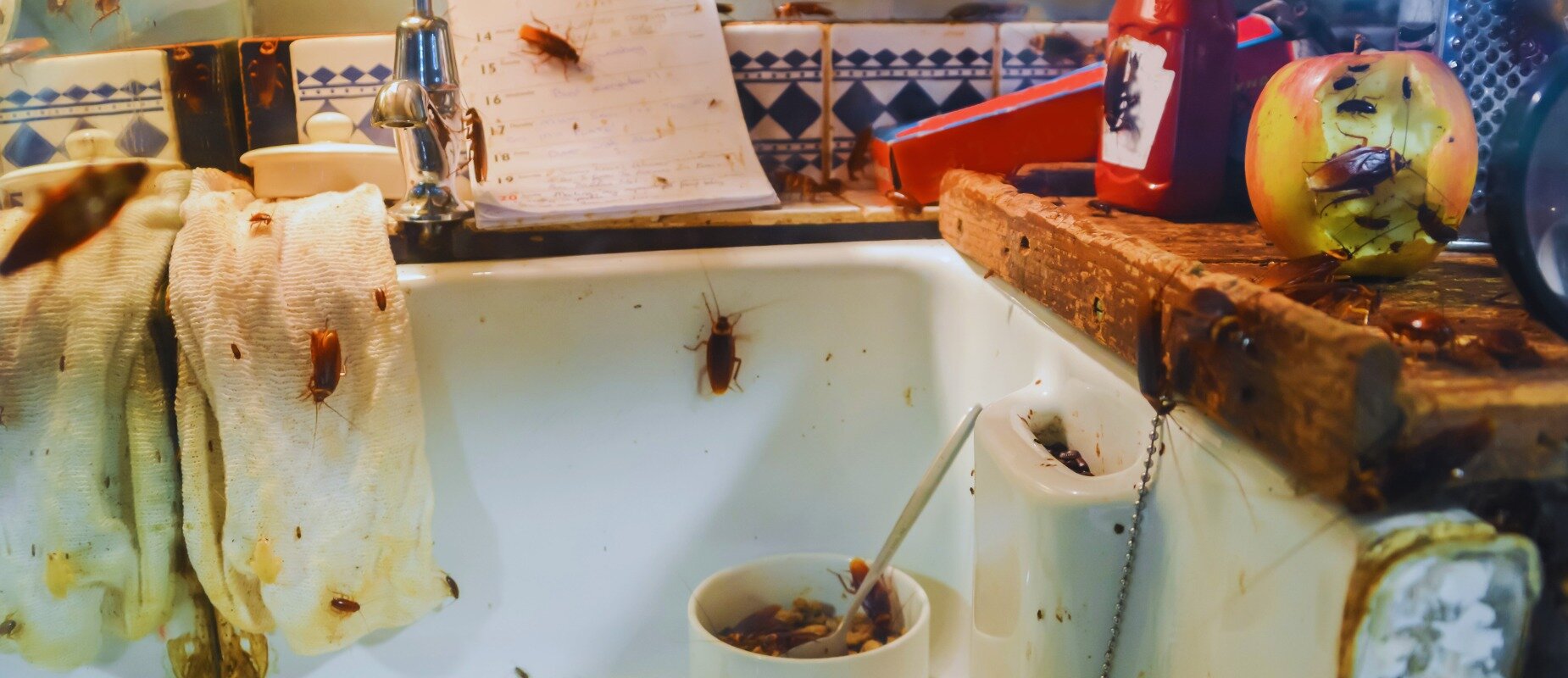 How To Sell A Hoarder House In Richmond