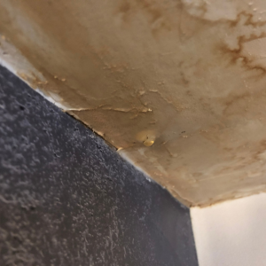 Sell A House With Water Damage in Colorado