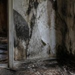 Sell House With Water Damage in Colorado