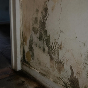 Sell Your House With Water Damage in Colorado