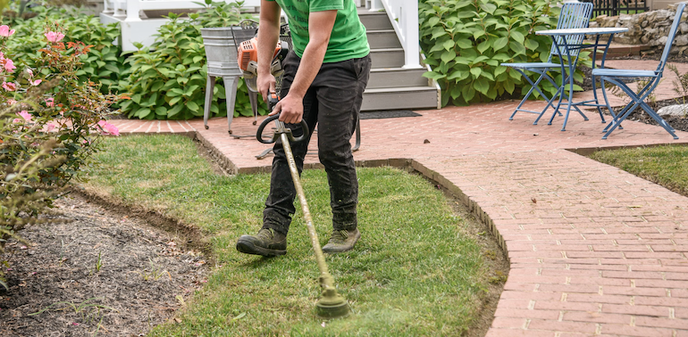 Landscaping curb appeal