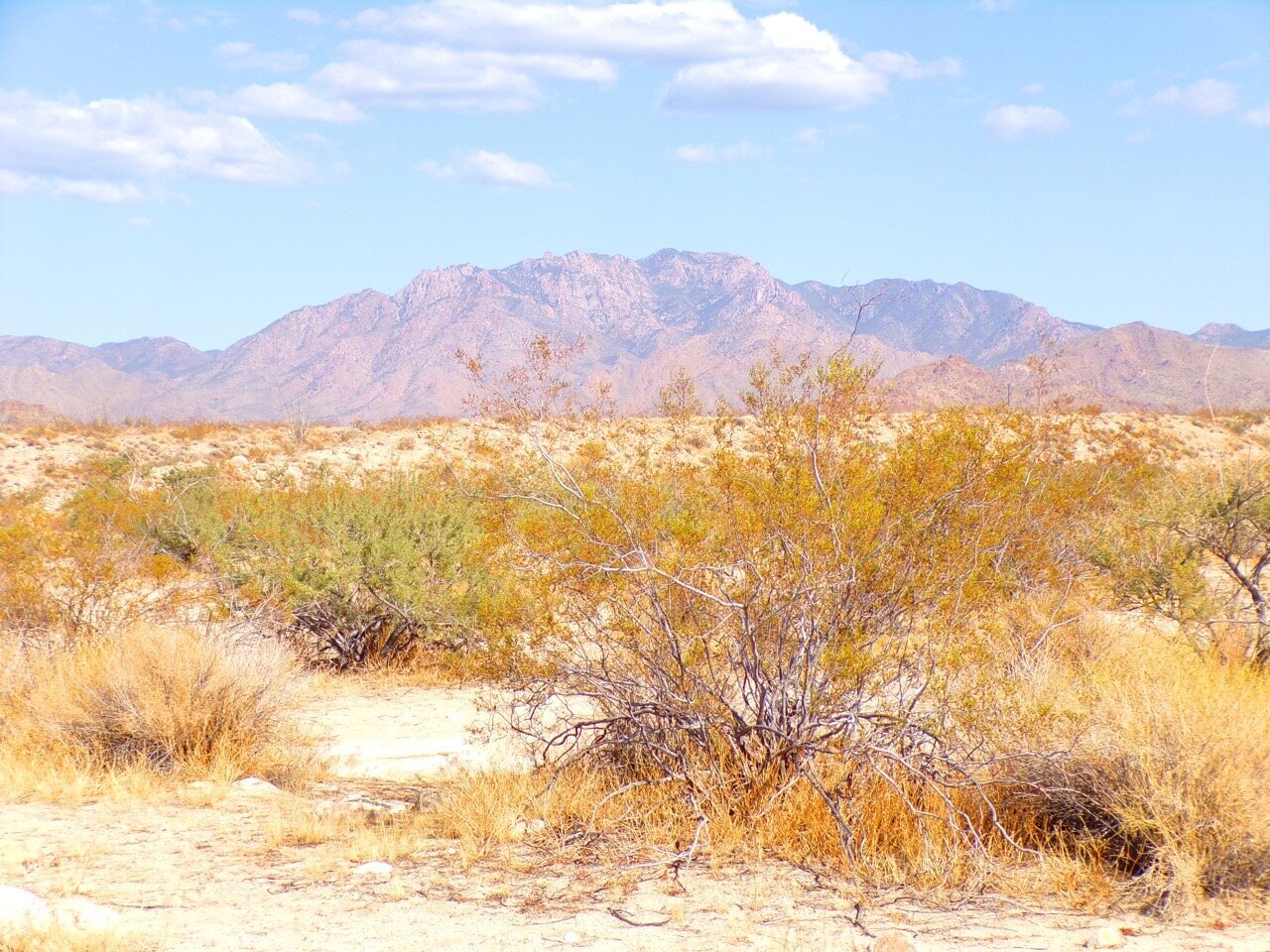 Land For Sale In Williford Arkansas Blue Sky Land Sales, LLC