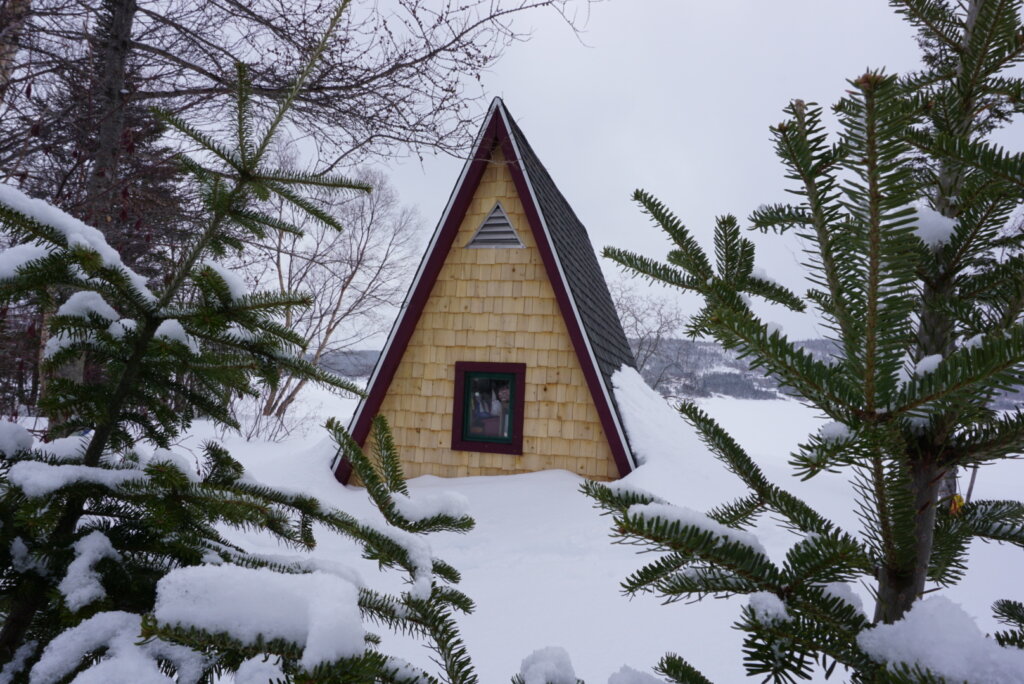 How Do I Sell A House Like This In Calgary With Multiple Owners?