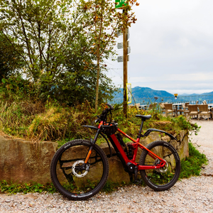 Top Fun Experiences for Kids Raleigh, NC